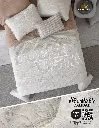 REAL-T~2.webp